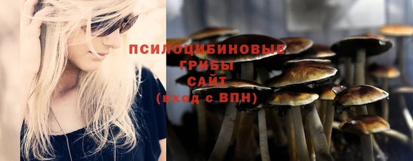 спиды Алексеевка