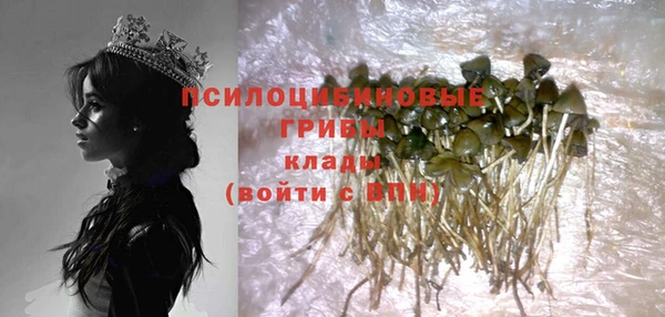 тгк Алексин