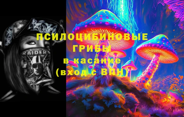 тгк Алексин