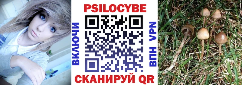 Галлюциногенные грибы мицелий  Асино 
