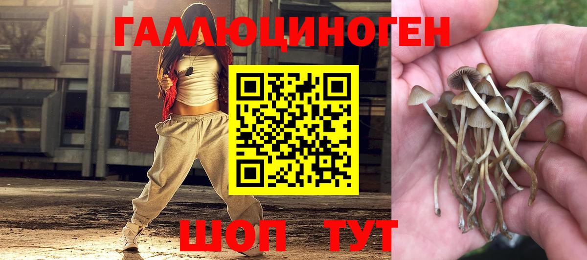 Асино  Псилоцибиновые грибы прущие грибы  Вход с VPN 